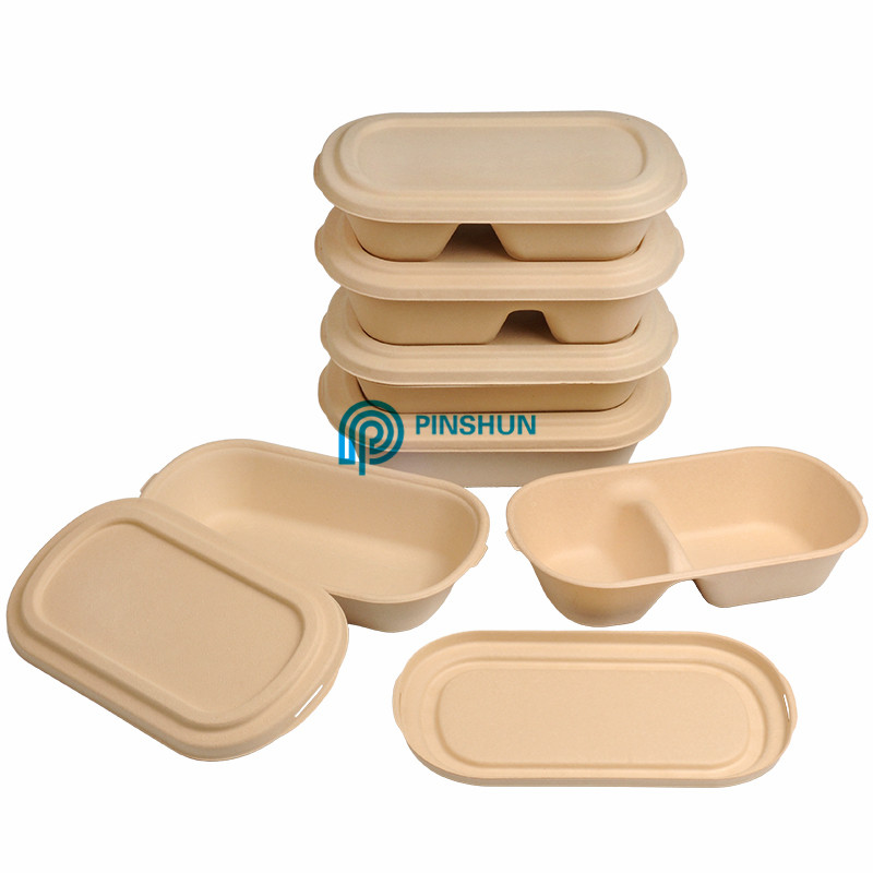 2 compartment Biodegradable Disposable Lunch Box
